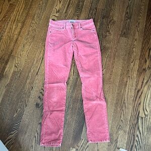Loft velvet pant size 24/00